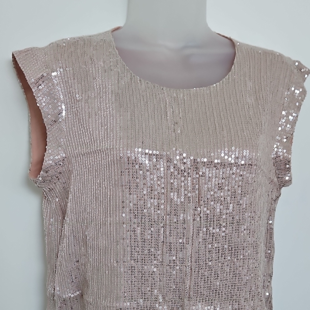 NWT J. Crew Beige Sequin Cap Sleeve Blouse